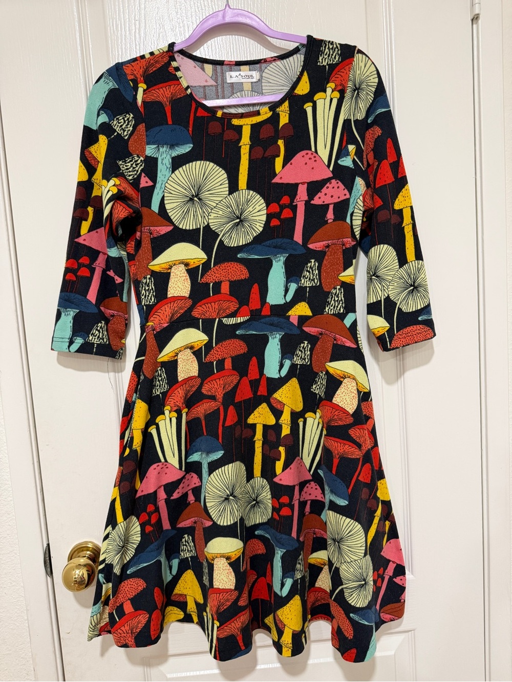 L.A. Soul Mushroom Print Fit & Flare Dress Size Medium Colorful Cottagecore